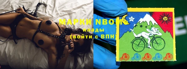 дживик Новозыбков