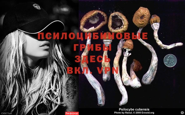 apvp Абинск