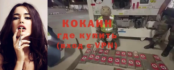спиды Новодвинск