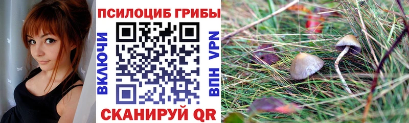 Псилоцибиновые грибы прущие грибы  Аксай 